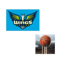 Dallas Wings Basketball 202//199